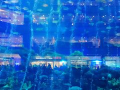 -成都浩海立方海洋公园