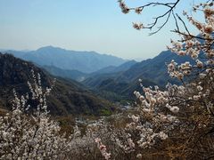 -大岭沟猕猴桃谷风景区
