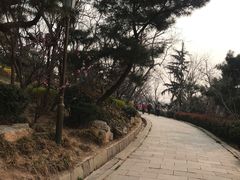 -贮水山儿童公园