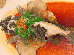 -维园悦谱·海派家常菜(乌鲁木齐南路店)