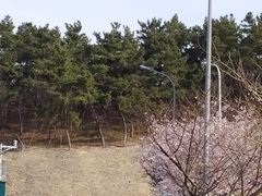 -浮山香苑
