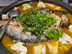 -探鱼·鲜青椒爽麻烤鱼(苏宁广场店)
