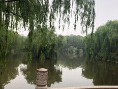 -济南大明湖景区