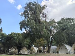 -上海美帆帆船露营基地