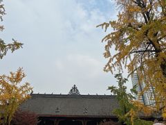 -古大圣慈寺