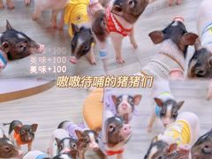 -猪盟咖啡店(玖洲道店)