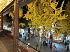 -奇芳阁·百年清真南京菜(夫子庙店)