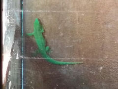 android_upload_pic-上海大自然野生昆虫馆