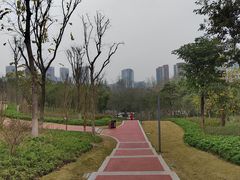 -重庆彩云湖湿地公园