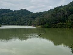 -广州白江湖森林公园