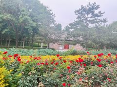 -北坞公园