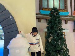-世界之窗阿尔卑斯冰雪世界