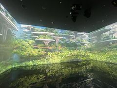 -中国湿地博物馆