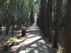 -同里国家湿地公园