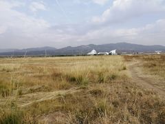 -敕勒川草原
