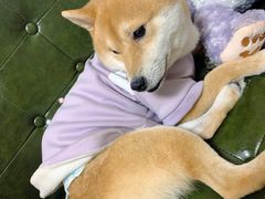 -猫色咖啡·猫咖