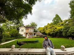 -J Create城市露营咖啡·简餐·宠物(上海动物园店)