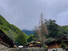 -林坑古村落