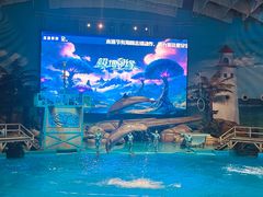 -海合安武汉极地海洋公园