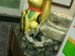 -食德乐·全鸽宴顺德菜(南湖店)