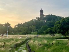-红花山公园