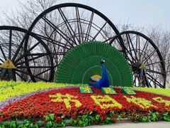 -呀路古热带植物园