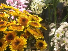 -Flower in(密渡桥店)