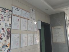 -半岛宠物医院24小时(白果林店)
