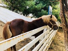 -酷鱼垂钓CLUB(朝阳区博大路店 )