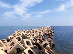 -东疆建设开发纪念公园