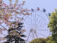 -红山森林动物园