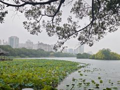 -南宁南湖公园