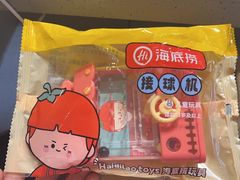 -海底捞火锅(莘松路店)