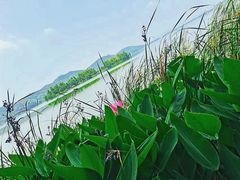 -东湖落雁景区