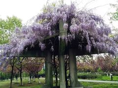 -白塘生态植物园