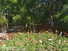 -中国公安部总部大楼