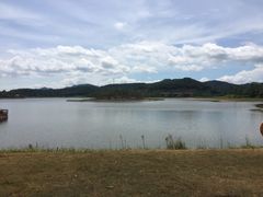 -美的鹭湖森林度假区