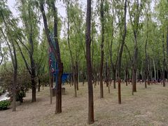 -森林公园(尖草坪区)