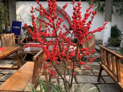 -鲤院·新中式美学·庭院餐厅(夫子庙店)