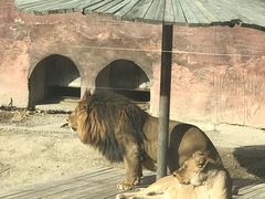 -新疆天山野生动物园