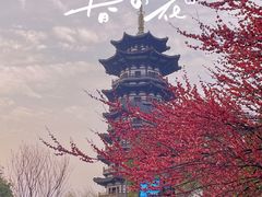 -洋湖国家湿地公园