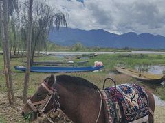 -泸沽湖国家级风景名胜区走婚桥
