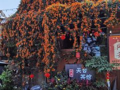 -阿桃甘蔗汁