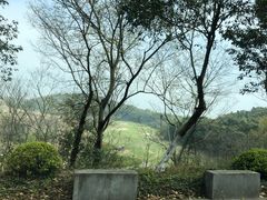 -平湖九龙山旅游度假区
