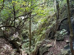 -普者黑风景区-青龙山