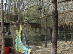 -草根堂农场