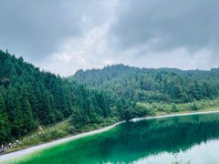 -武陵山森林公园