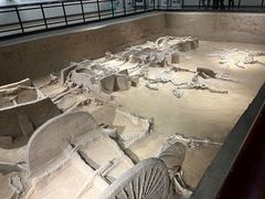 -洛阳周王城天子驾六博物馆