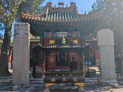 -药王庙(安国市)