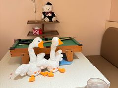 -海底捞火锅(吾悦国际广场店)
